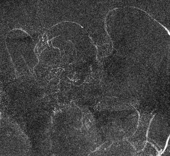 132 1 Phat Hien Hinh Chua Hai Dong An Giau Trong Buc Hoa Cua Leonardo Da Vinci