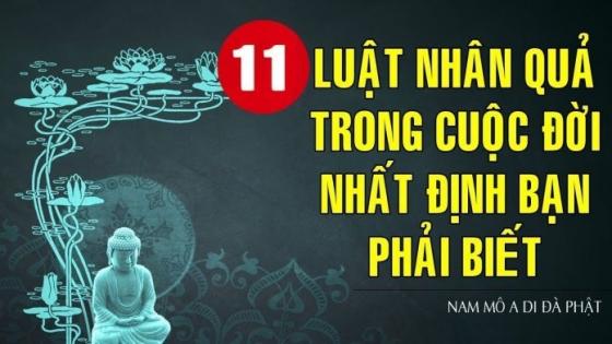 132 1 11 Quy Tac Nhan Qua Chi Phoi Van Menh Con Nguoi