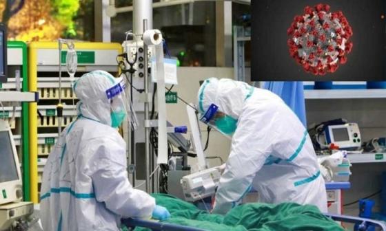 132 1 Anh Thu Nghiem Vaccine Ngua Virus Corona Tren Chuot