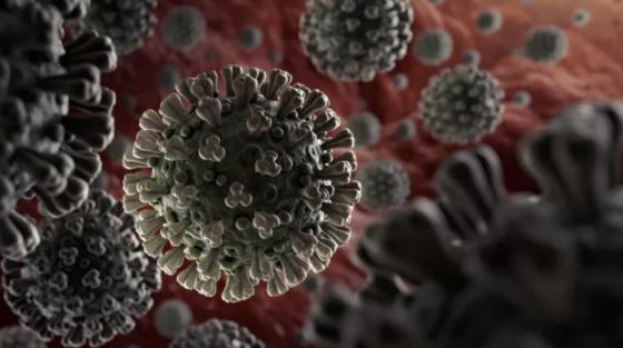 132 1 Lo Vaccine Covid 19 Cua My Da Duoc Xuat Xuong