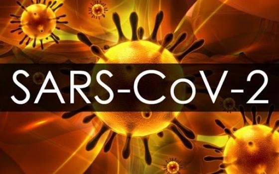 132 1 Phat Hien Virus Corona Tien Hoa Thanh 2 Chung Khac Nhau