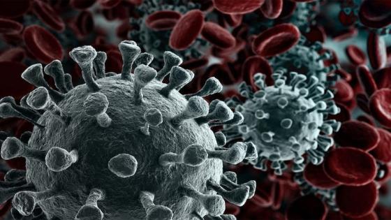 132 1 Virus Corona Tiep Tuc Dot Bien Hien Da Co 8 Bien The
