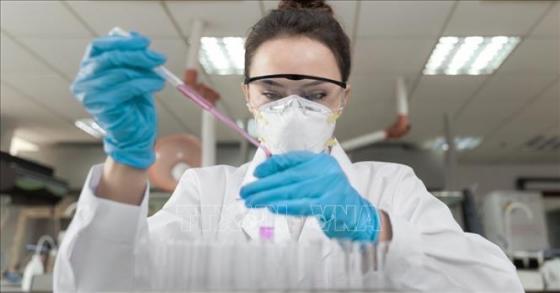 132 1 Nghien Cuu Vaccine Phong Virus Sars Cov 2 Tren Chuot Cho Ket Qua Kha Quan