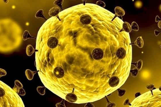 132 1 Nong Chinh Thuc Tim Ra Nhiet Do Khien Virus Corona Bi Tieu Diet Hoan Toan