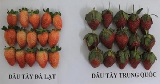 132 3 Bat Giu Hon 10 Tan Dau Tq Co Du Luong Thoc Gap 3 La Van Chuyen Len Da Lat Vi Tien Ma Hai Nhau