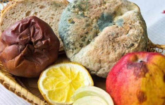 132 4 Nhung Doc To Nam Moc Trong Thuc Pham Gay Ung Thu