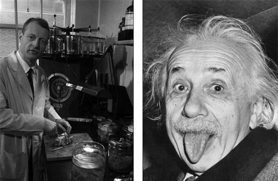 132 1 Chuyen Ly Ky Ve Bo Nao Bi Danh Cap Cua Thien Tai Einstein