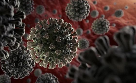 132 1 Virus Sars Cov 2 Co The Tiep Tuc Dot Bien Ngay Ca Khi Co Vaccine