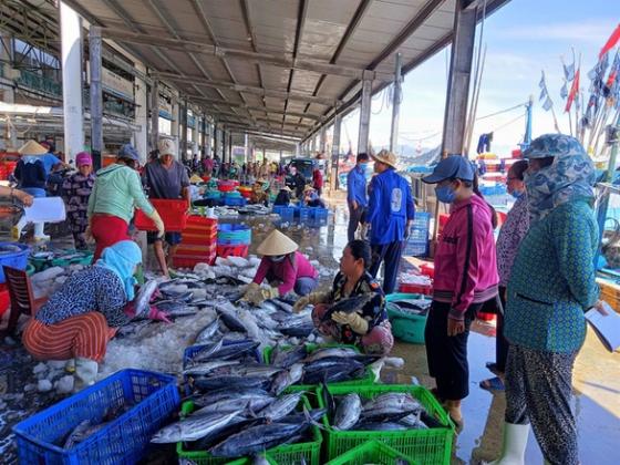 132 5 Nha Trang Nang Dep Truoc Khi Bao So 10 Do Bo Ngu Dan Lo Lang