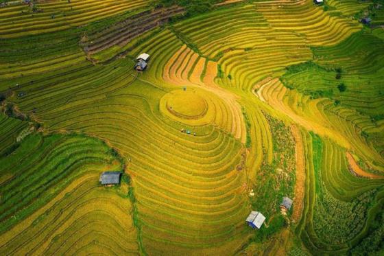 132 1 Man Nhan Ngam Dia Danh Duy Nhat Cua Viet Nam Lot Top 50 Diem Dep Nhat The Gioi 2020