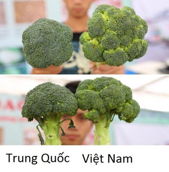 132 10 Chu Hang Rau Chi Cach Phan Biet Rau Cu Trung Quoc Voi Viet Nam Nhin Vo Du Biet Luon Dung De Bi Lua
