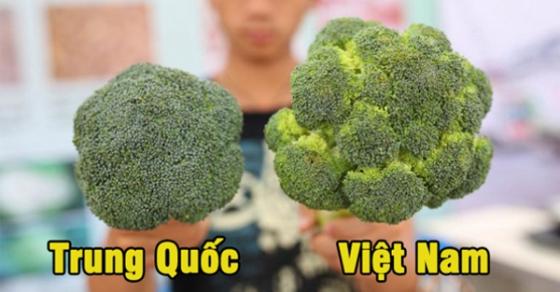 132 1 Chu Hang Rau Chi Cach Phan Biet Rau Cu Trung Quoc Voi Viet Nam Nhin Vo Du Biet Luon Dung De Bi Lua