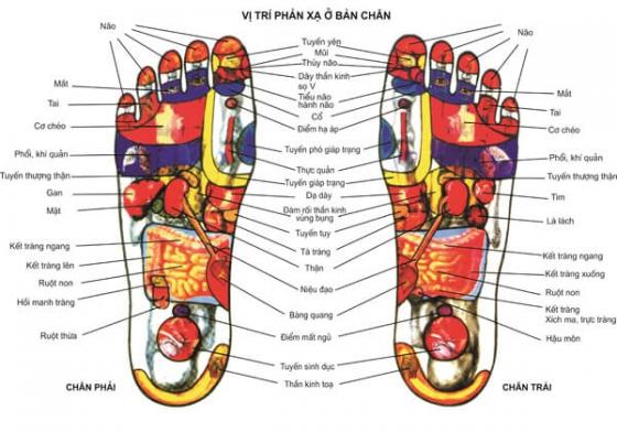 132 2 Muon Biet Noi Tang Co Nhiem Benh Khong Chi Can Nhin Xuong Ban Chan Co 3 Tin Hieu Thi Can Phai Di Kham Khan Cap