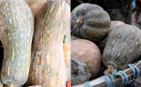 132 4 Chu Hang Rau Chi Cach Phan Biet Rau Cu Trung Quoc Voi Viet Nam Nhin Vo Du Biet Luon Dung De Bi Lua