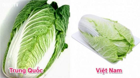 132 6 Chu Hang Rau Chi Cach Phan Biet Rau Cu Trung Quoc Voi Viet Nam Nhin Vo Du Biet Luon Dung De Bi Lua