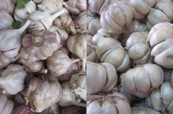 132 7 Chu Hang Rau Chi Cach Phan Biet Rau Cu Trung Quoc Voi Viet Nam Nhin Vo Du Biet Luon Dung De Bi Lua