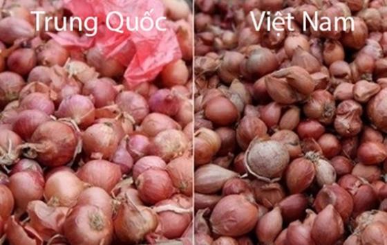 132 8 Chu Hang Rau Chi Cach Phan Biet Rau Cu Trung Quoc Voi Viet Nam Nhin Vo Du Biet Luon Dung De Bi Lua