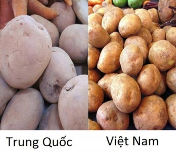 132 9 Chu Hang Rau Chi Cach Phan Biet Rau Cu Trung Quoc Voi Viet Nam Nhin Vo Du Biet Luon Dung De Bi Lua