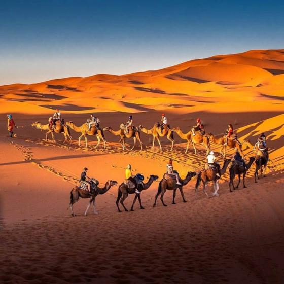 Nghỉ dưỡng sang chảnh tại sa mạc Sahara