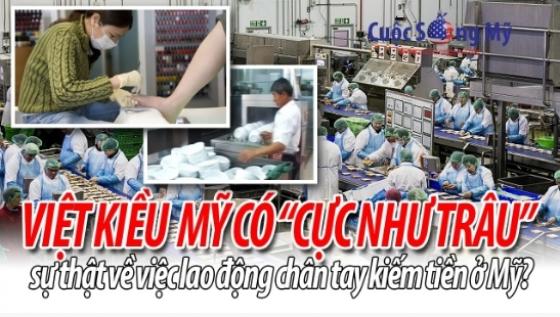 132 2 Su That Ve Cuoc Song Lao Dong Chan Tay Cuc Kho Cua Cac Viet Kieu My