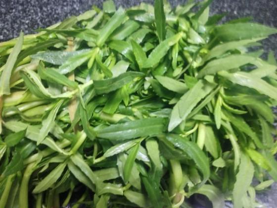 132 1 It Ai Biet Loai Rau Pho Bien Khap Viet Nam Co Tac Dung Chua Benh Nhu Tien Duoc