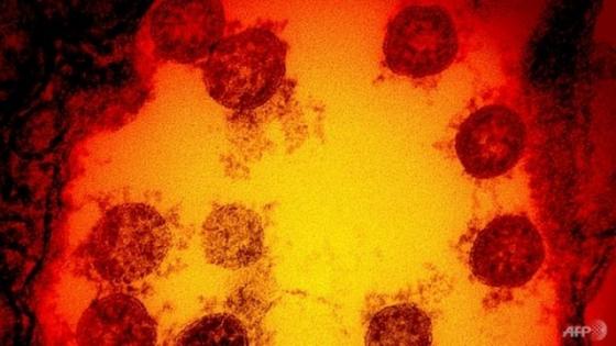 132 1 Phat Hien Moi Va Su Thay Doi Chua Tung Co Cua Bien Chung Sars Cov 2