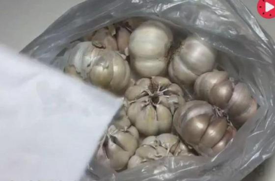132 2 Phuong Phap Bao Quan Rat Hay Giup Gung Toi Va Khoai Tay Khong Lo Bi Moc Mam