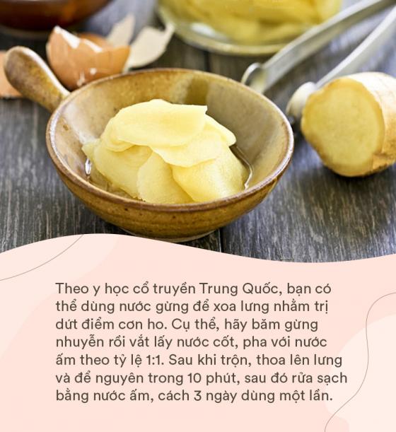 132 4 Gung   Vi Thuoc Dan Gian Tri Bach Benh