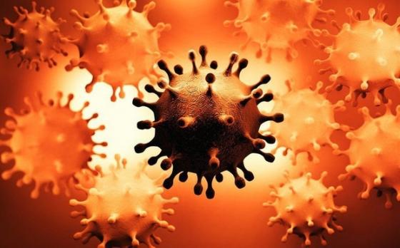 132 1 Nong Hai Bien The Covid 19 Hop Nhat Thanh Mot Virus Lai Dot Bien Nang   Lo Ngai Ve 1 Giai Doan Moi Cua Dai Dich