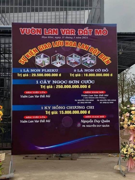 132 2 Nghi Van Quanh Vu Mua Ban Lan Var Ngoc Son Cuoc 250 Ty O Quang Ninh