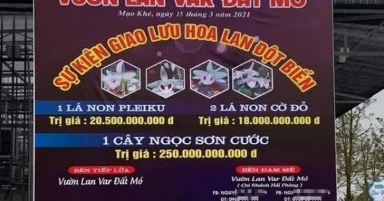 132 2 Vu Mua Ban Lan Dot Bien Gan 300 Ty Chi Thoa Thuan Chua Chuyen Tien