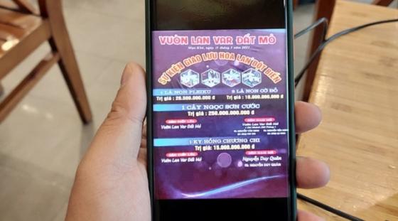 132 1 Mua Ban Lan Dot Bien Gia Tram Ty Lai Bung Phat