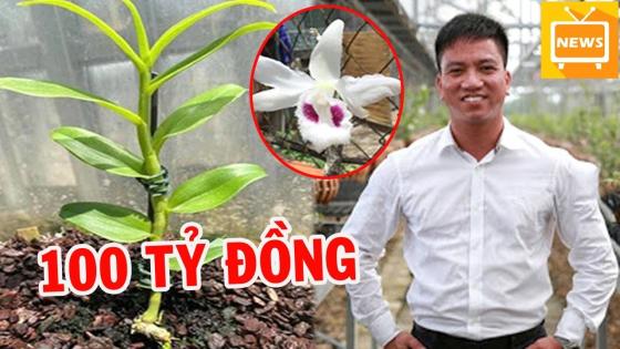 Cơn sốt lan đột biến có thể khiến nhiều người... đột quỵ