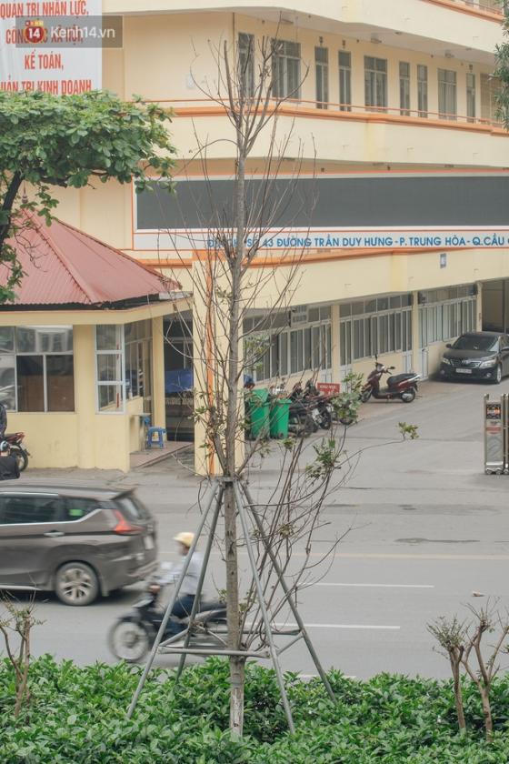 132 13 Hang Phong La Do O Ha Noi Tu Ky Vong Chau Au Giua Long Thu Do Den Nhung Canh Cui Kho Sap Bi Thay The