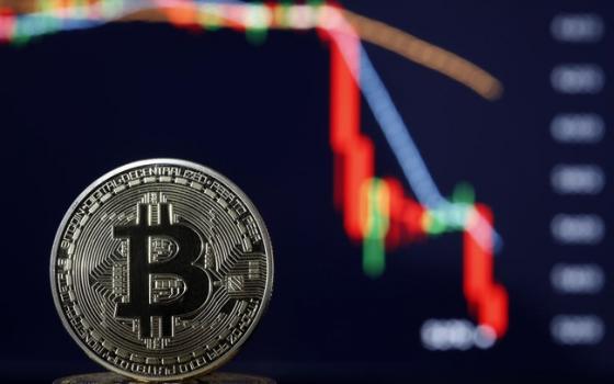 132 1 Bitcoin Roi Thang Dung Sau Thong Bao Cua Elon Musk