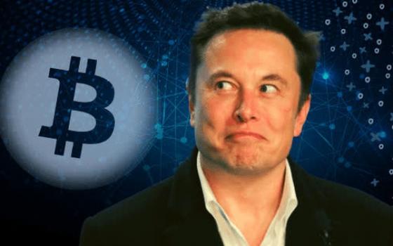 132 1 Gia Bitcoin Tiep Tuc Lao Doc Sau Dong Thai Moi Cua Elon Musk