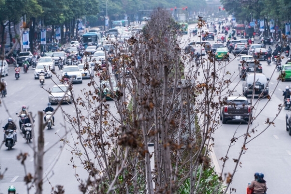 2 Phong La Do Chet Quay   Khong Khac Gi Trong Cay Cot Dien