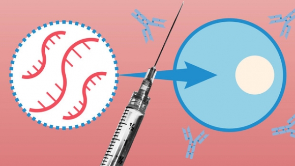 1 Cuu Giam Doc Cdc Hoa Ky Tiet Lo 5 Su That Ve Vaccine Covid