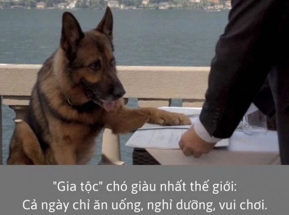 1 Nu Ba Tuoc Nguoi Duc De Lai Gia San Kech Xu Cho Cho Cung
