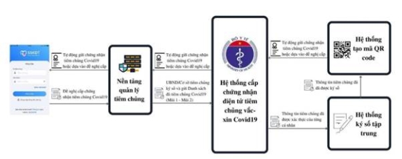 3 Quy Trinh 3 Buoc Cap Ho Chieu Vaccine Cua Viet Nam