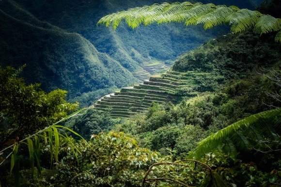 8 Vinh Ha Long La Noi Phai Den Mot Lan Trong Doi