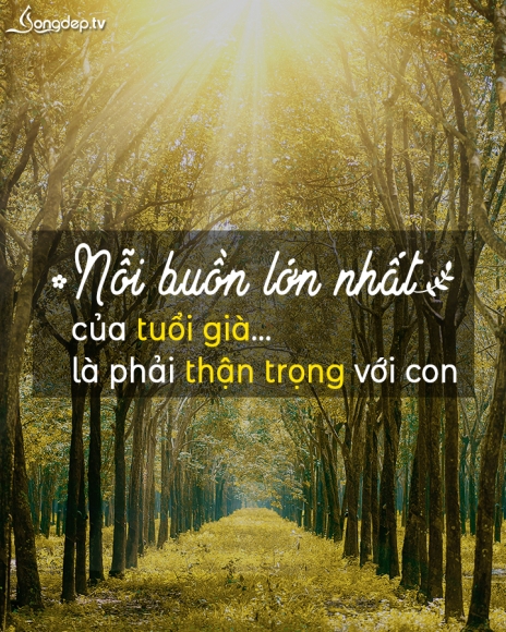 Một trong những nỗi buồn và cô đơn lớn nhất của tuổi già