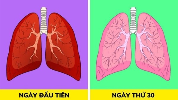 8 cách thải độc phổi tự nhiên, F0 khỏi bệnh cũng nên áp dụng để cải thiện sức khoẻ