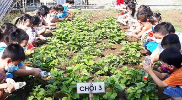 2 Nha Tre 5 Sao Cho Con Cong Nhan