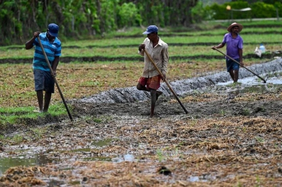 2 Thu Tuong Sri Lanka Nen Kinh Te Sup Do Hoan Toan