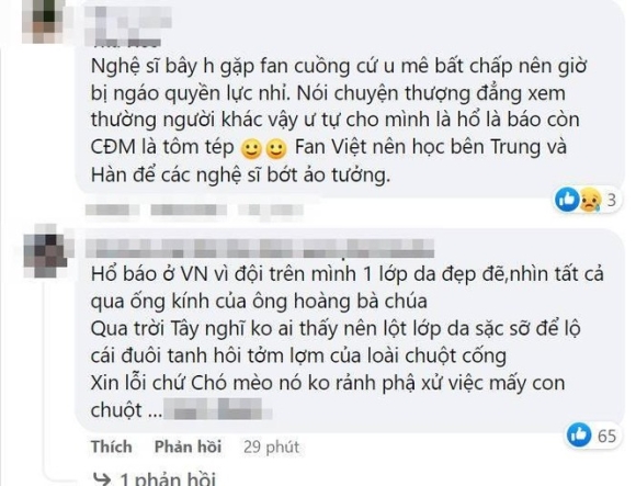 5 Loi Van Hoa Cua Nghe Si Trong Vu Viec Ho Hoai Anh Hong Dang