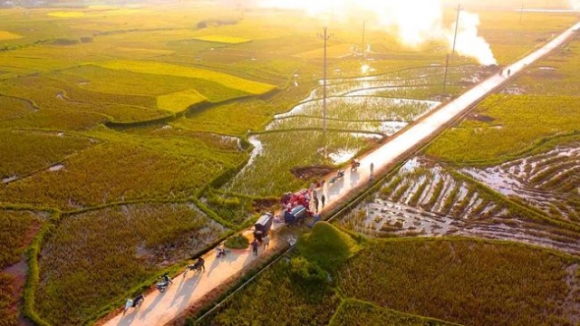 2 Ngat Ngay Voi Canh Dong Vang Canh Rung Gia Nguyen Sinh Tai Than Uyen Lai Chau