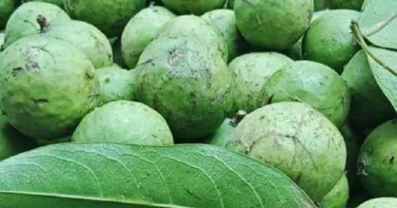 1 Cach Chon Va Bao Quan Sau Ca Nam Van Giu Nguyen Huong Vi