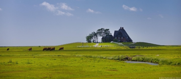 3 Vi Sao Quan Dao Hallig Cua Duc La Doc Nhat Vo Nhi