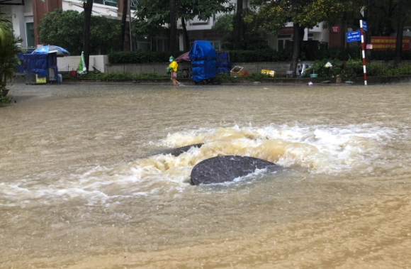 8 Nguoi Quy Nhon Xot Xa Nhin Tivi Tu Lanh Bi Nhan Chim Trong Nuoc